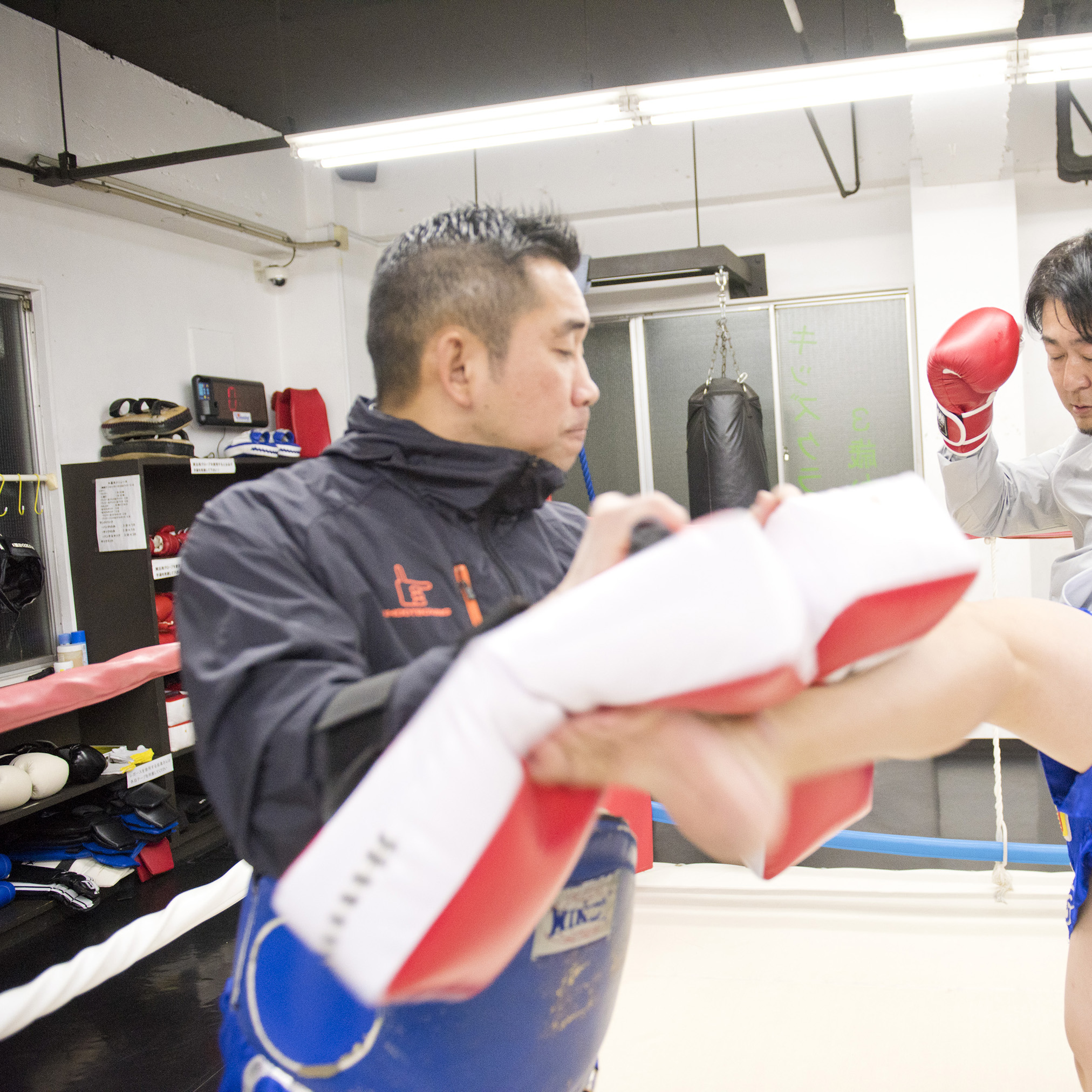 Wintry Mountain Landscape
